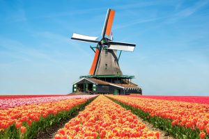 Hà Lan đất nước hoa tulip xinh đẹp
