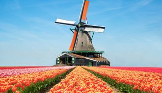 Hà Lan đất nước hoa tulip xinh đẹp